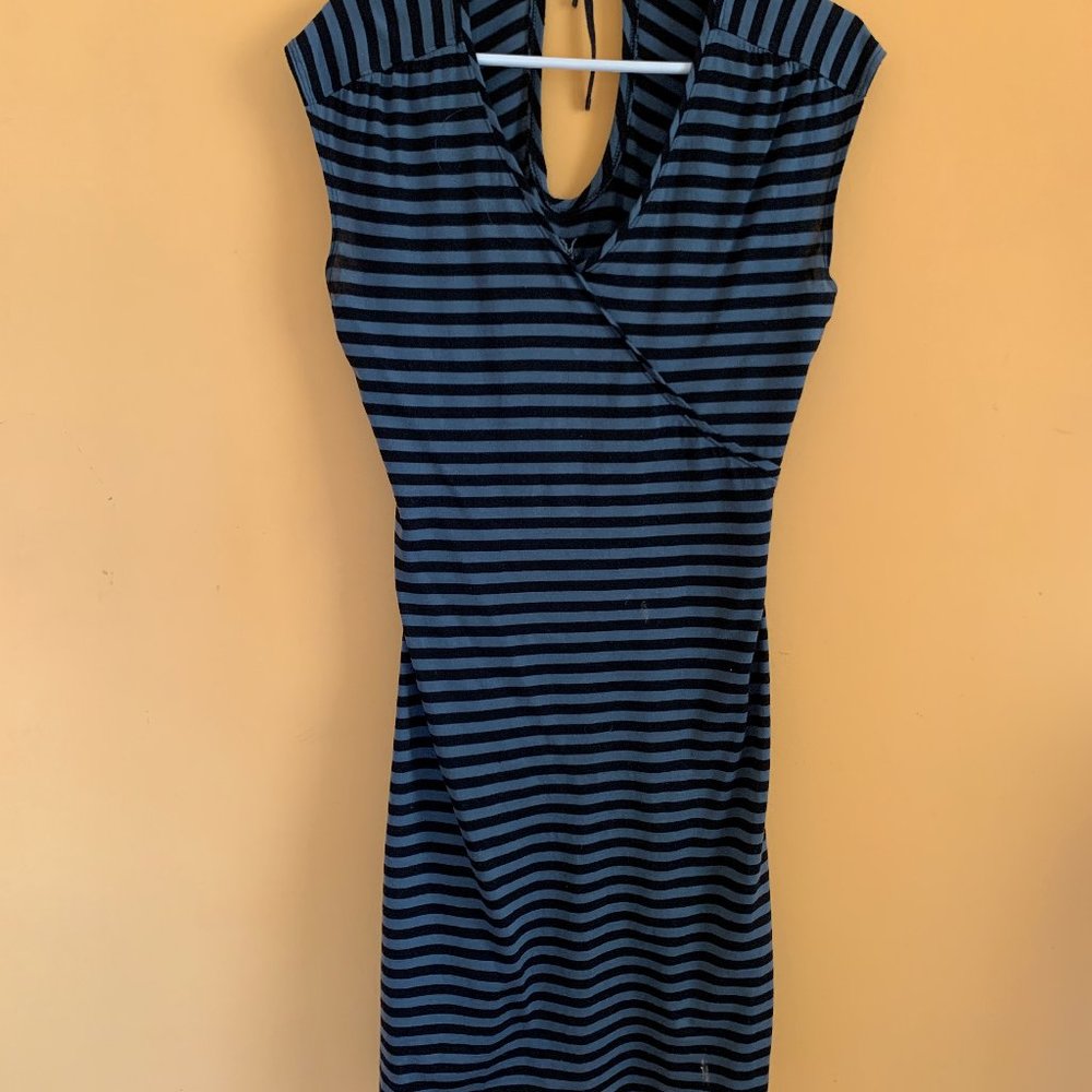 Ibex Summer Wool Dress